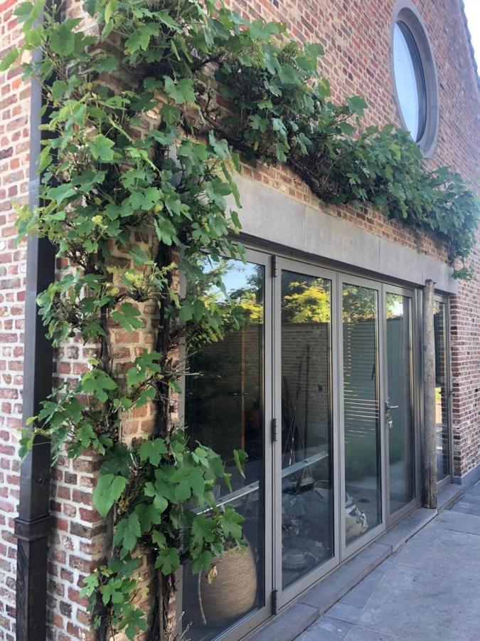 Landelijke Villa Met Zwembad En Gezellige Openhaard Zemst Eksteriør bilde